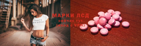индика Новозыбков