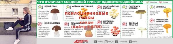 индика Новозыбков