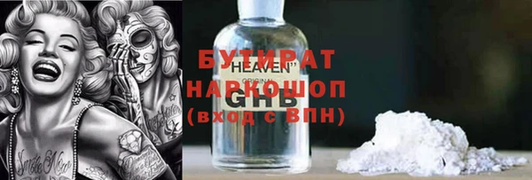 индика Новозыбков