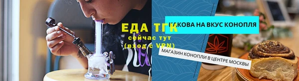 соль ск Новодвинск