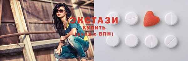 индика Новозыбков
