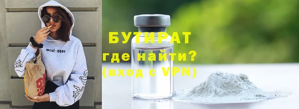 индика Новозыбков