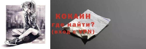соль ск Новодвинск