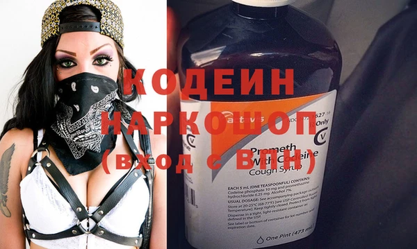 индика Новозыбков