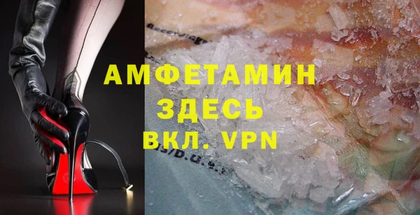 индика Новозыбков