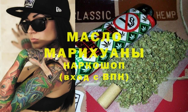 индика Новозыбков
