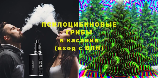 индика Новозыбков