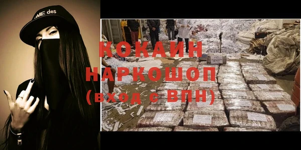 соль ск Новодвинск