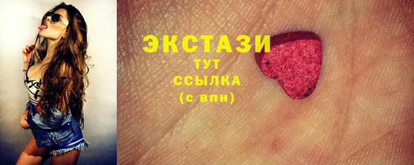 индика Новозыбков