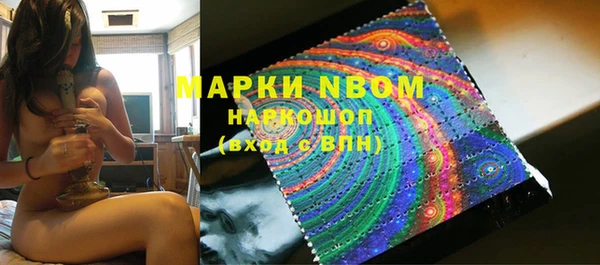 индика Новозыбков