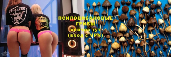 соль ск Новодвинск