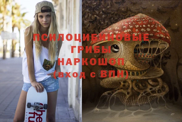 соль ск Новодвинск
