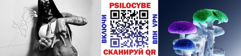 Псилоцибиновые грибы мицелий  МЕГА ONION  Реутов  сколько стоит 