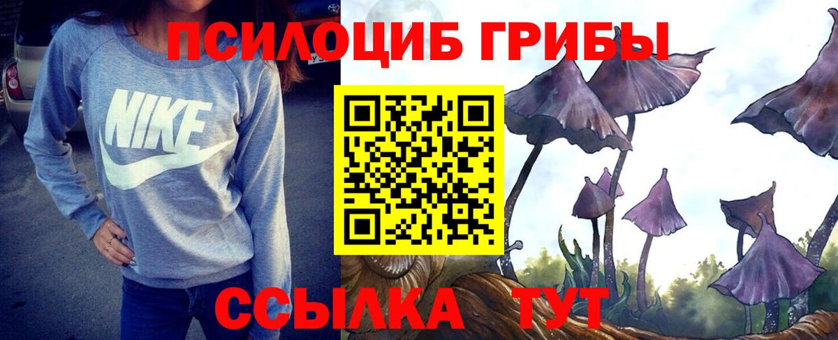 Псилоцибиновые грибы Psilocybe  Псилоцибиновые грибы MAGIC MUSHROOMS  что такое   Вход с VPN  Реутов 